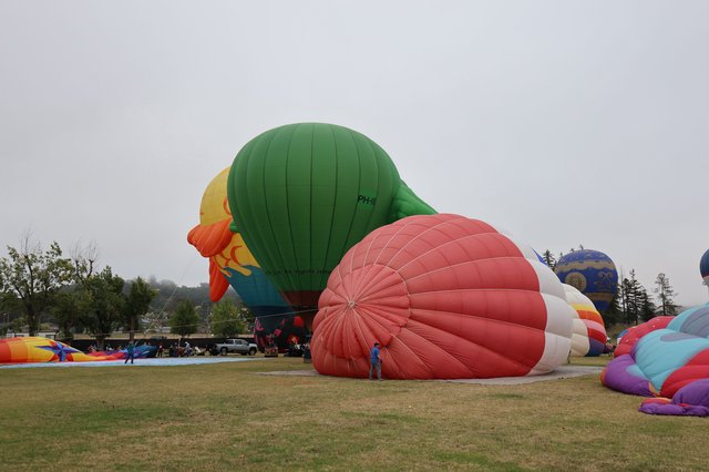 Hot Air Balloons Inflating at Sonoma County Classic
