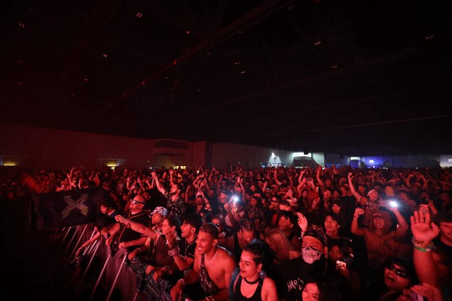 Massive Crowd Surges at Wobbleland 2026 Festival