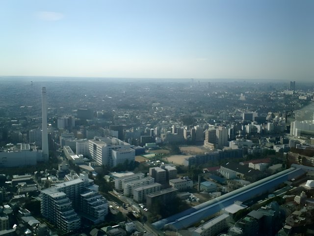 Tokyo Metropolis from the Top of the Government Building
