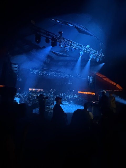 Electric Vibes in the Dark