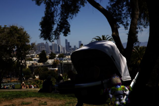 A Sunny Day Out in Delores Park, 2023