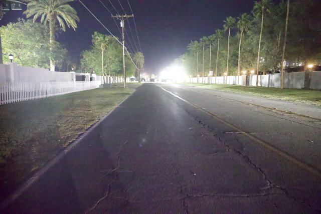 Nighttime Tranquility on Palm-Lined Avenue