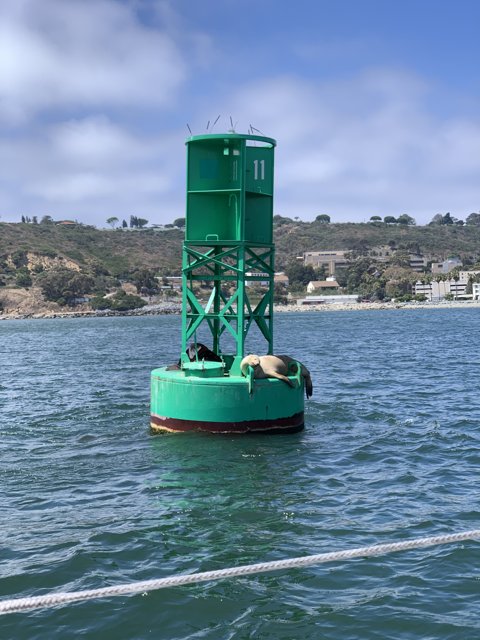 The Green Buoy off the Coast of San Diego