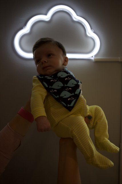 Neon Dreams: Wesley at 2 Months