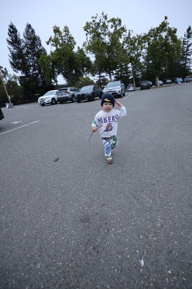 Fearless Toddler Runs Through Parking Lot with Stick