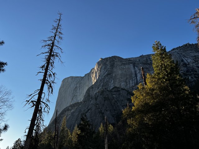Half Dome stands tall amidst the mountain range