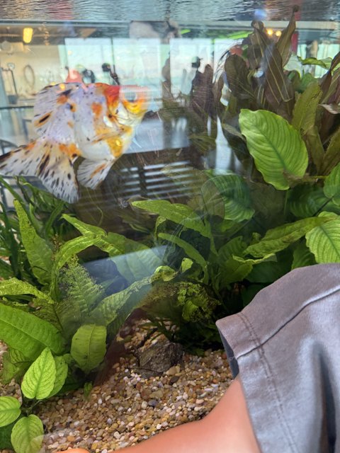 Aquarium Wonders at Pier 15