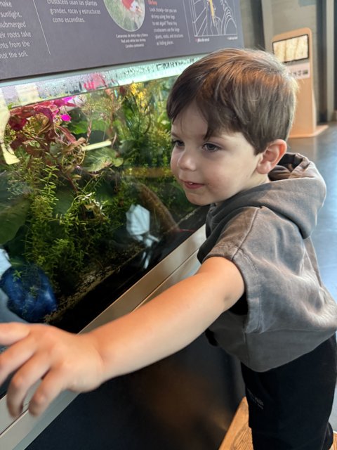 Little Explorer's Aquarium Adventure
