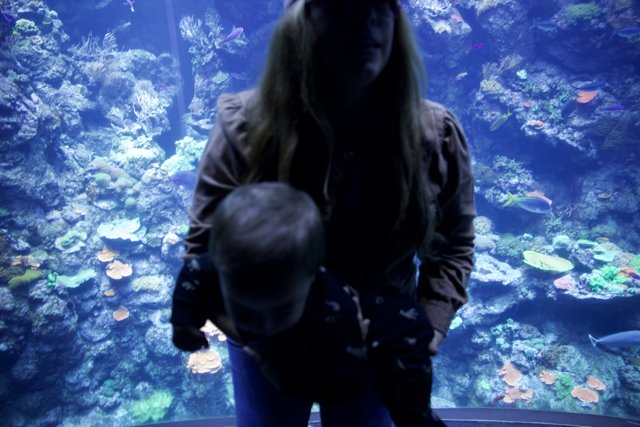 Underwater Wonders - A Captivating Day at the Aquarium in 2023.