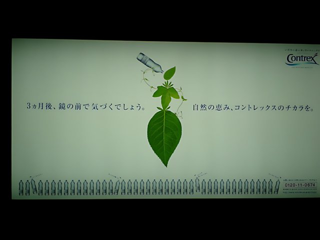 Herbal Leaf Plant Advertisement