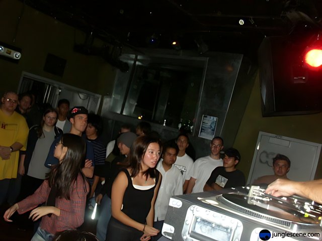 Night Club DJ Entertaining Crowd