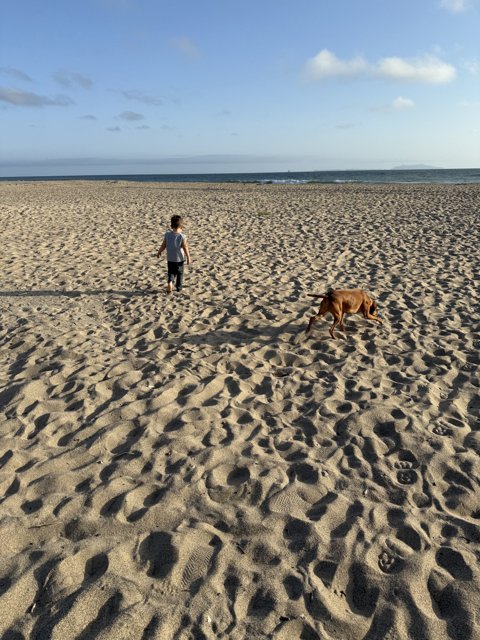 A Stroll Beyond the Shoreline