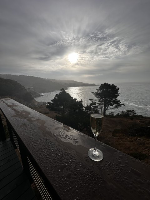 Wine with a View