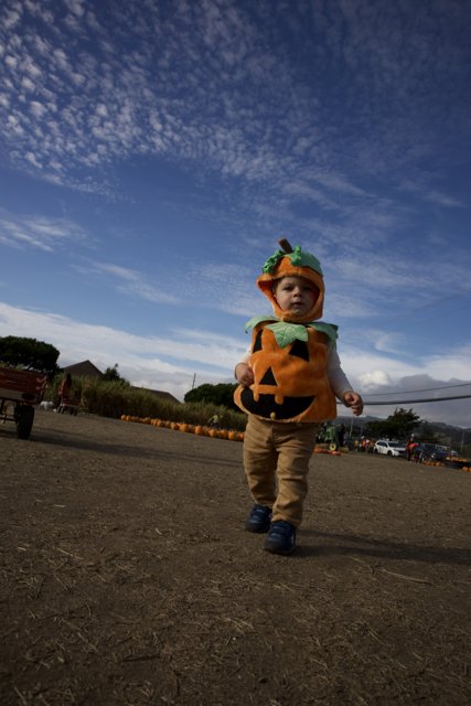 Pumpkin Baby's Joy Day at Halfmoon Bay