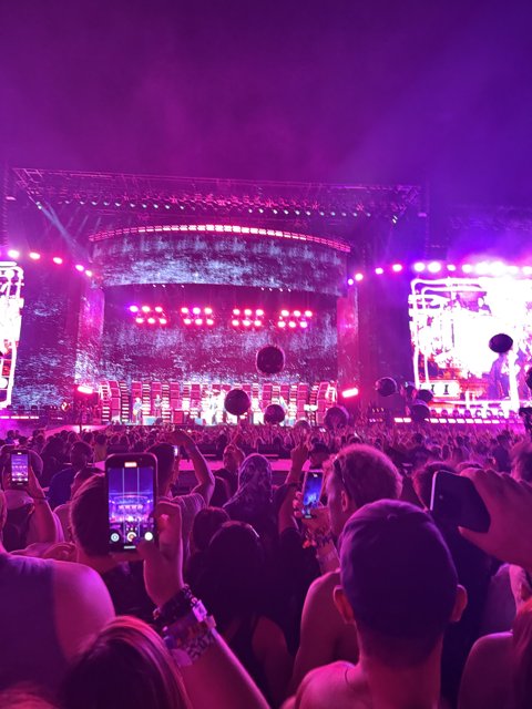 Electric Vibes Under the Desert Sky