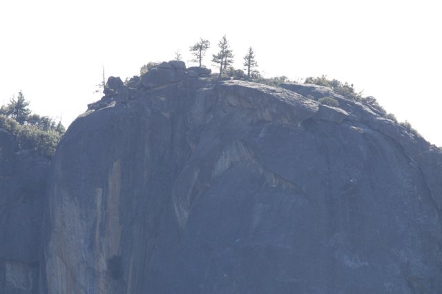 Granite Dome Summit with Pines in Yosemite