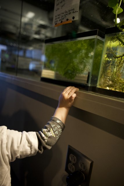 Discovering the Underwater World: A Day At The Museum