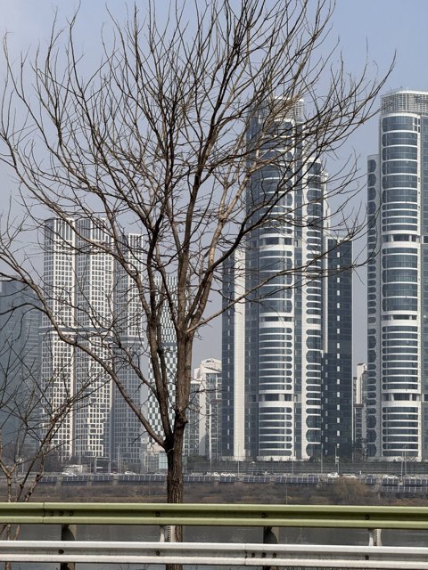 Urban Serenity Amidst Beijing's High Rise