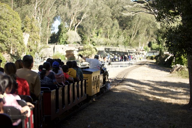 Joyride to Adventure: A Day At San Francisco Zoo & Gardens
