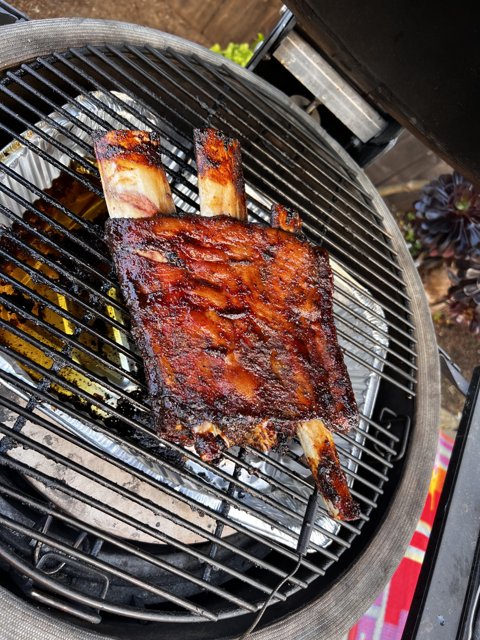 BBQ Feast with Grilled Ribs