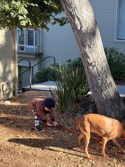 Autumn Adventures in Carmel