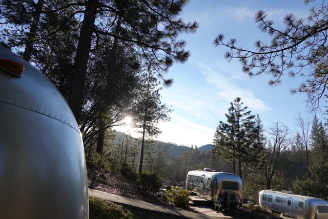 Airstream Oasis Amongst the Trees