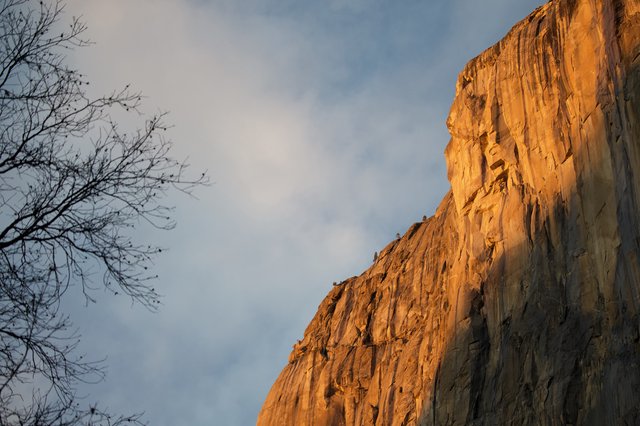 Golden Hour Light on El Capitan's Granite Face