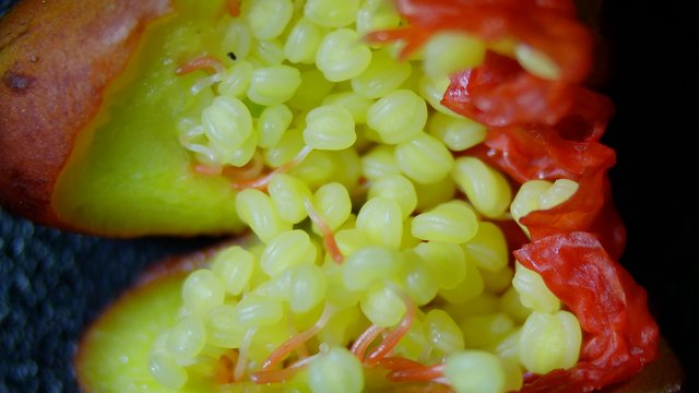 Macro Close-Up of Exotic Fruit Seeds and Flesh