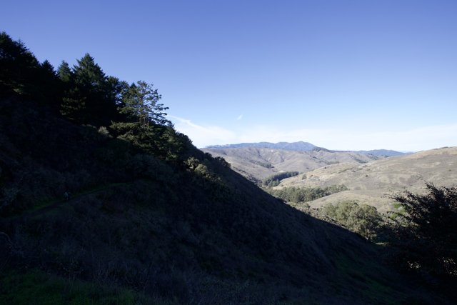 Panoramic Verdancy: Hill 88 Experience