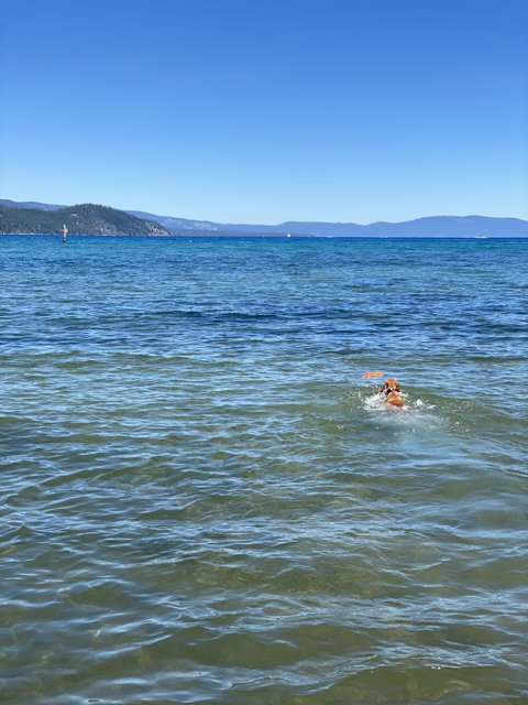 Swimmer enjoying the crystal clear waters of Kiva Beach