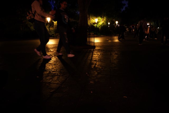 Enchanting Night Stroll in Disneyland
