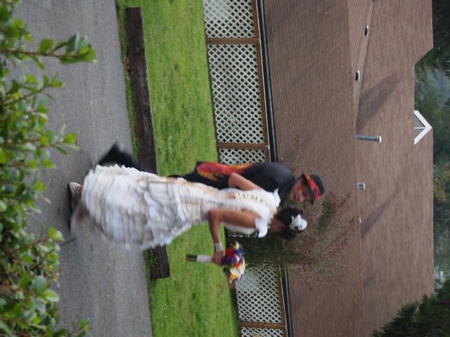 A Stroll Down the Wedding Lane