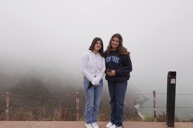 Two Friends in Foggy Coastal Overlook