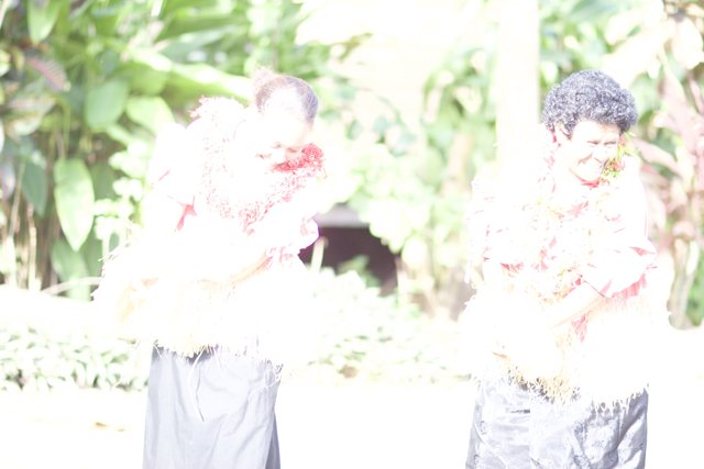 Traditional Dance in Fiji