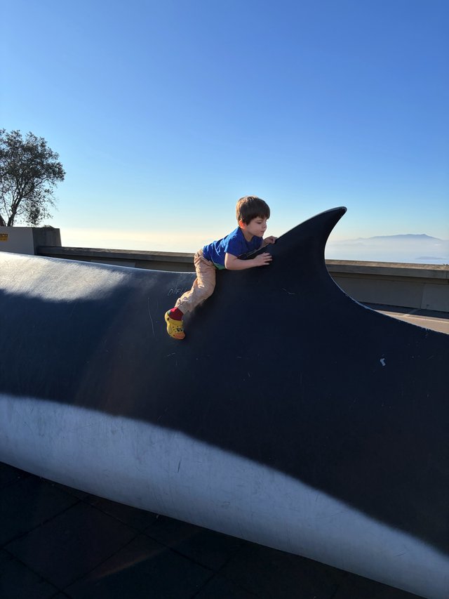 Child Playing on Whale Sculpture at Scenic Overlook