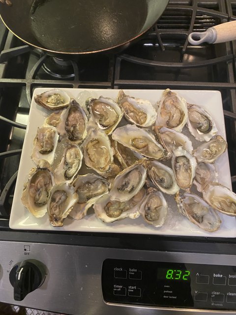 Fresh Oysters from San Francisco