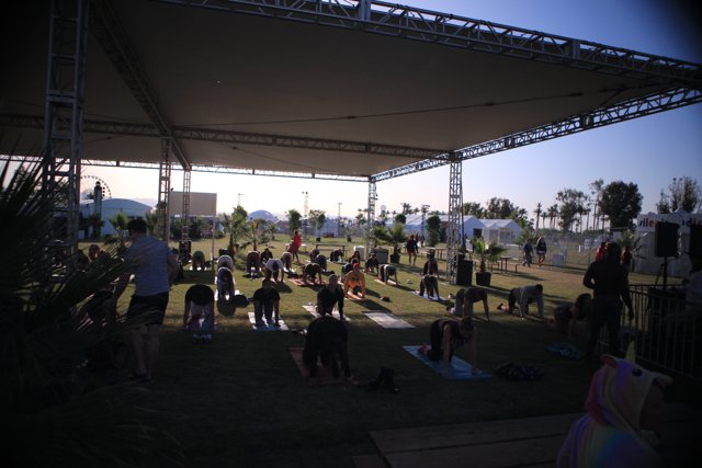 Coachella 2017 Crowd Enjoys Concert in The Broad Park
