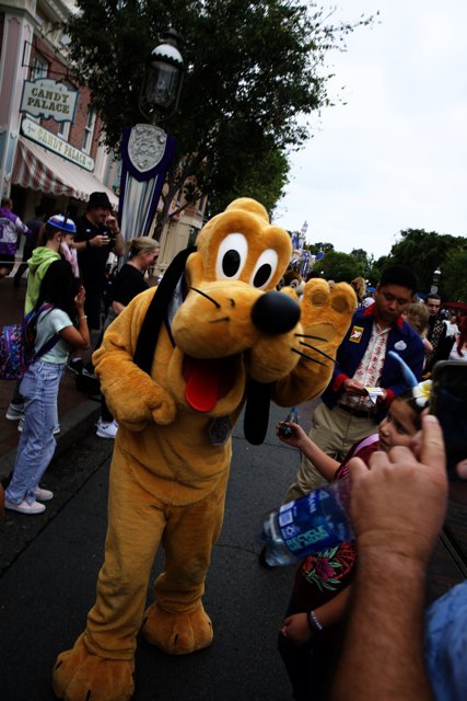 A Furry Surprise at the Disneyland Parade