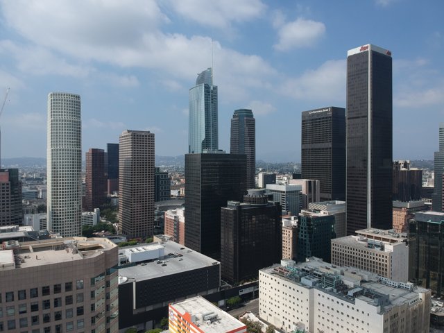 Sky-High View of the Urban Metropolis