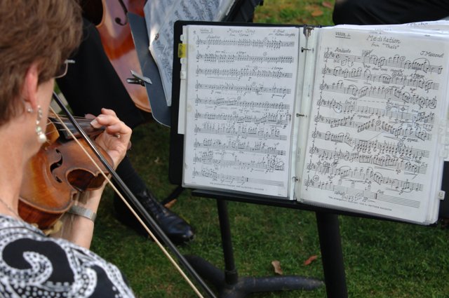 Musical Serenade on the Green