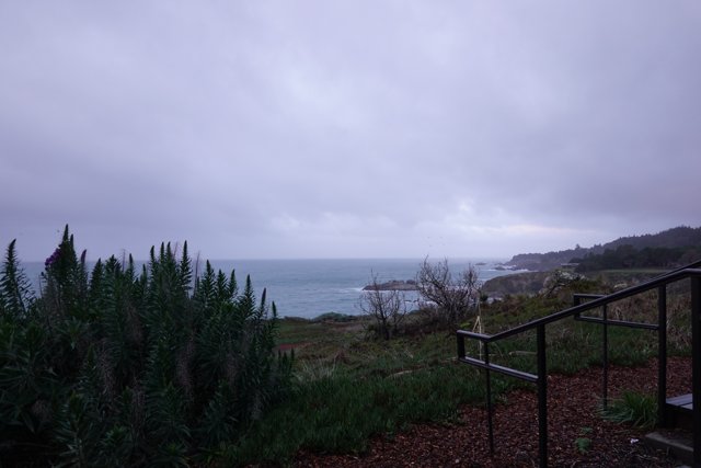Serene Ocean View from Hillside Handrail
