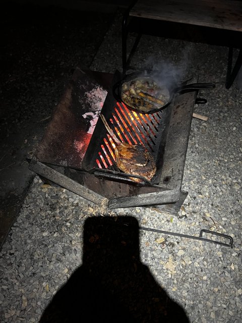 Delicious Grilling in Sierra National Forest