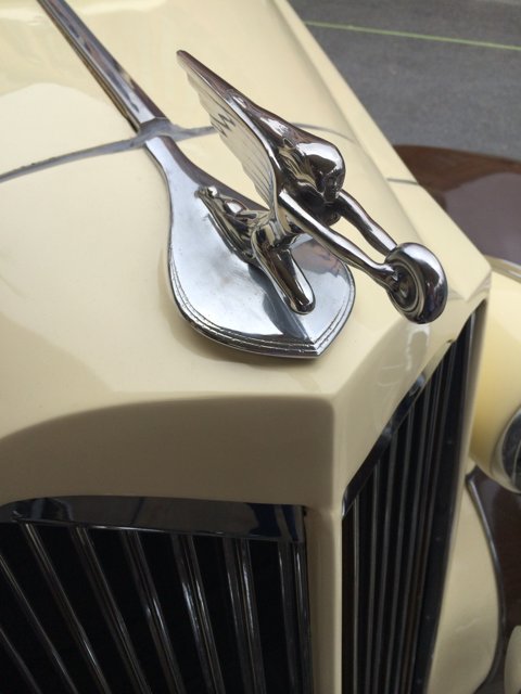 Classic Packard Emblem