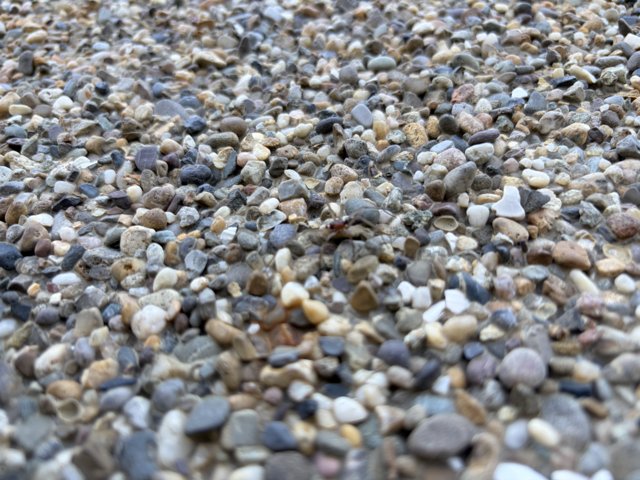 Pebbled Pathway at Apple Park