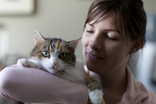 Woman Tenderly Holds Tabby Cat Indoors