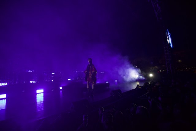 FKA Twigs Rocks the Stage with Purple Haze