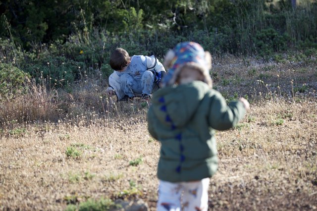 Young Explorers Discovering Nature at Mount Diablo