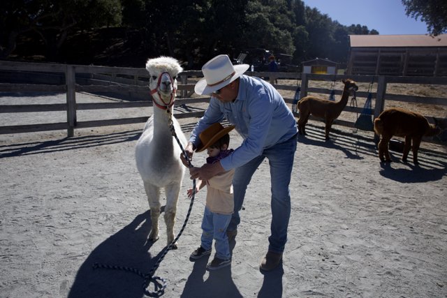 Cowboy in Training