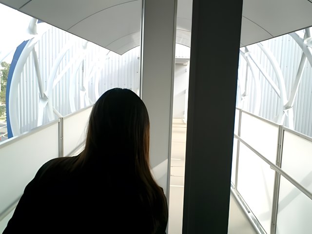 Woman Standing in Front of Glass Walkway