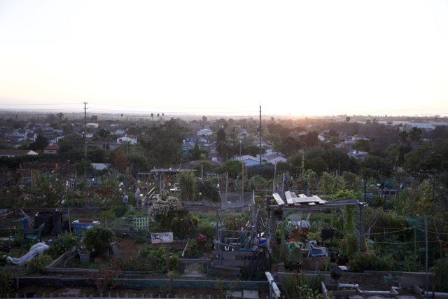 Rooftop Garden Sunset in the Heart of the City